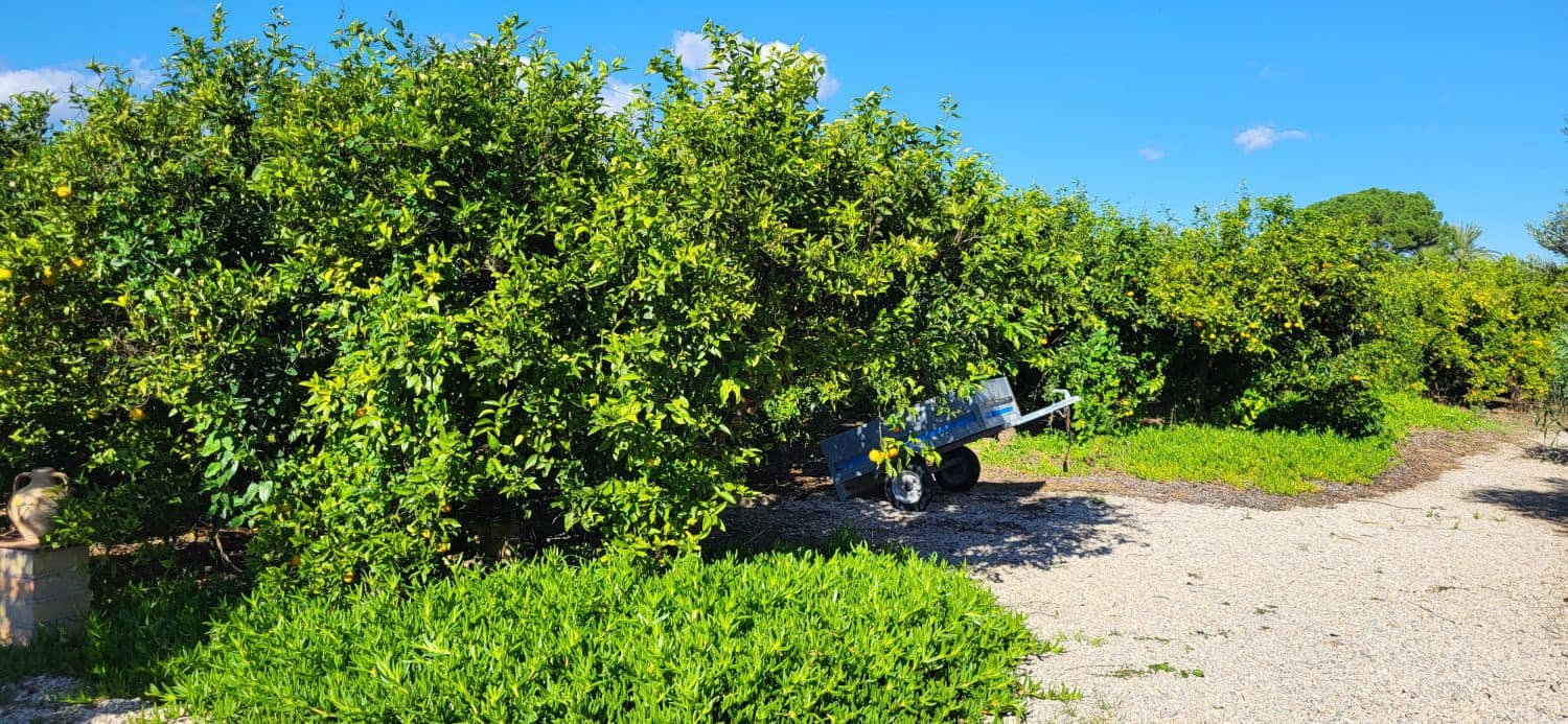 2 Zimmer Finca/Landgut zu verkaufen in Bitem - 315.000 € (Ref: 9367091)