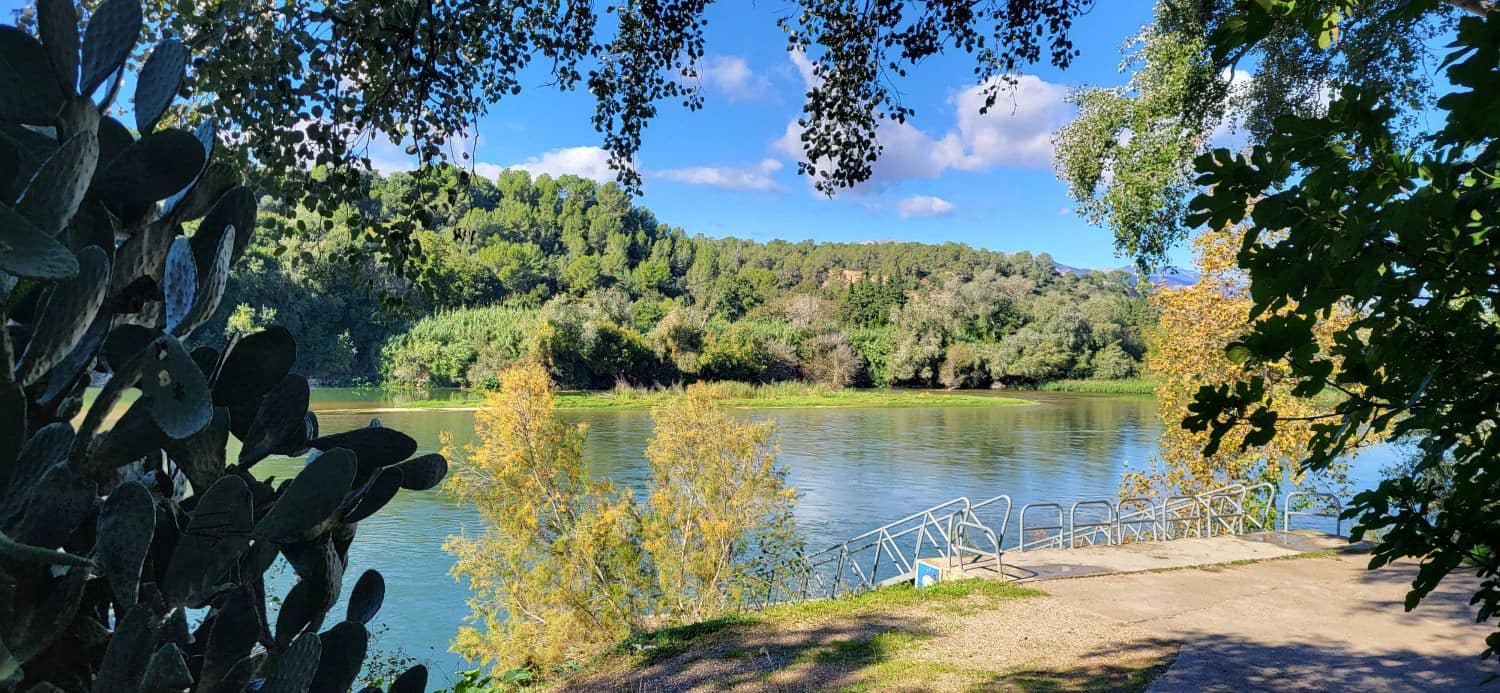 2 Zimmer Finca/Landgut zu verkaufen in Bitem - 315.000 € (Ref: 9367091)