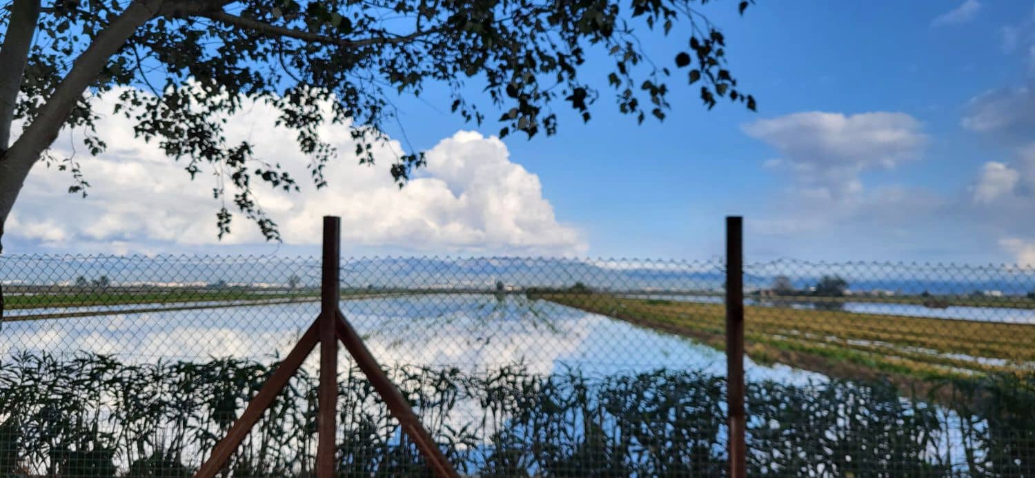 2 slaapkamer Villa te koop in Deltebre met garage - € 310.000 (Ref: 9504045)