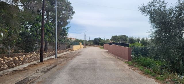 Terre non Aménagée à vendre à L'Ampolla - 100 000 € (Ref: 9828980)
