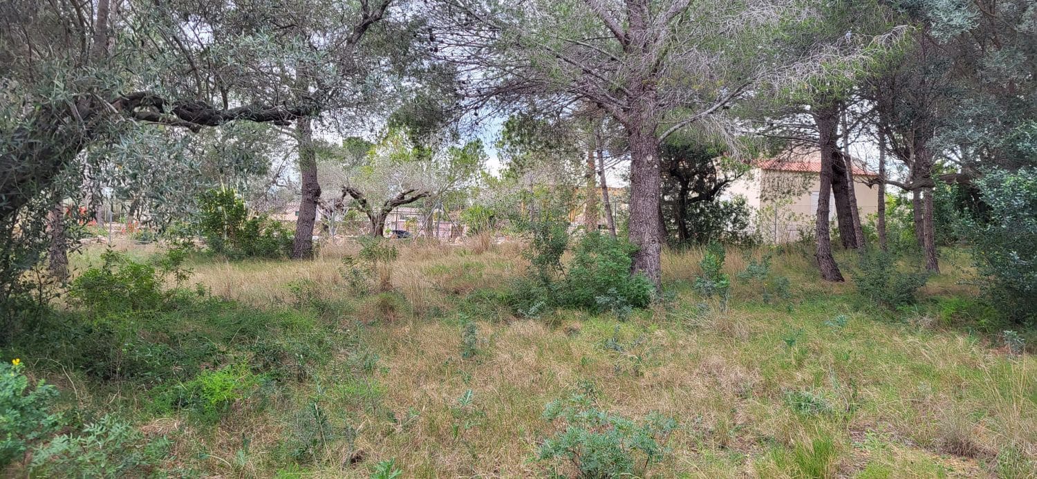 Terre non Aménagée à vendre à L'Ampolla - 100 000 € (Ref: 9828980)