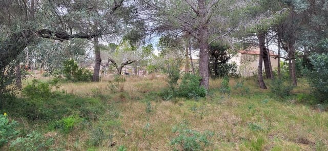 Terre non Aménagée à vendre à L'Ampolla - 100 000 € (Ref: 9828980)