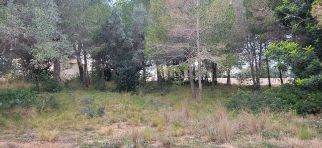 Terre non Aménagée à vendre à L'Ampolla - 100 000 € (Ref: 9828980)