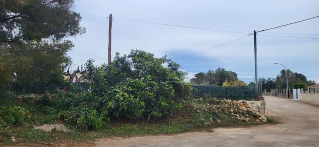 Terre non Aménagée à vendre à L'Ampolla - 100 000 € (Ref: 9828980)