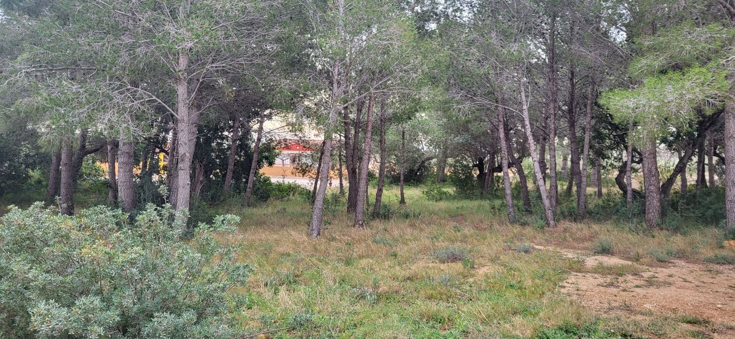 Terre non Aménagée à vendre à L'Ampolla - 100 000 € (Ref: 9828980)