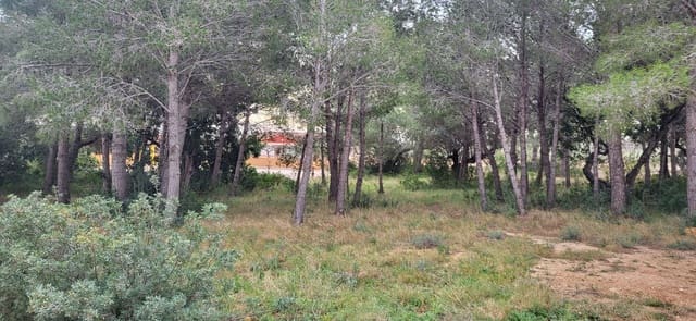 Terre non Aménagée à vendre à L'Ampolla - 100 000 € (Ref: 9828980)