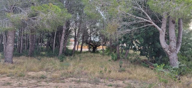 Terre non Aménagée à vendre à L'Ampolla - 100 000 € (Ref: 9828980)