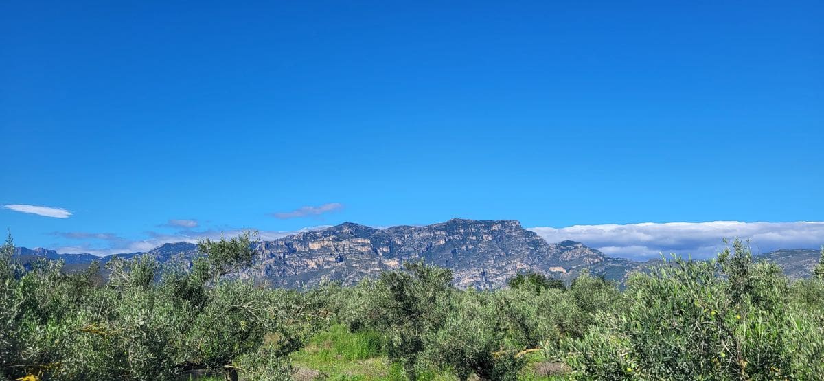 Finca/Country House for sale in El Raval de Crist - € 60,000 (Ref: 9833571)