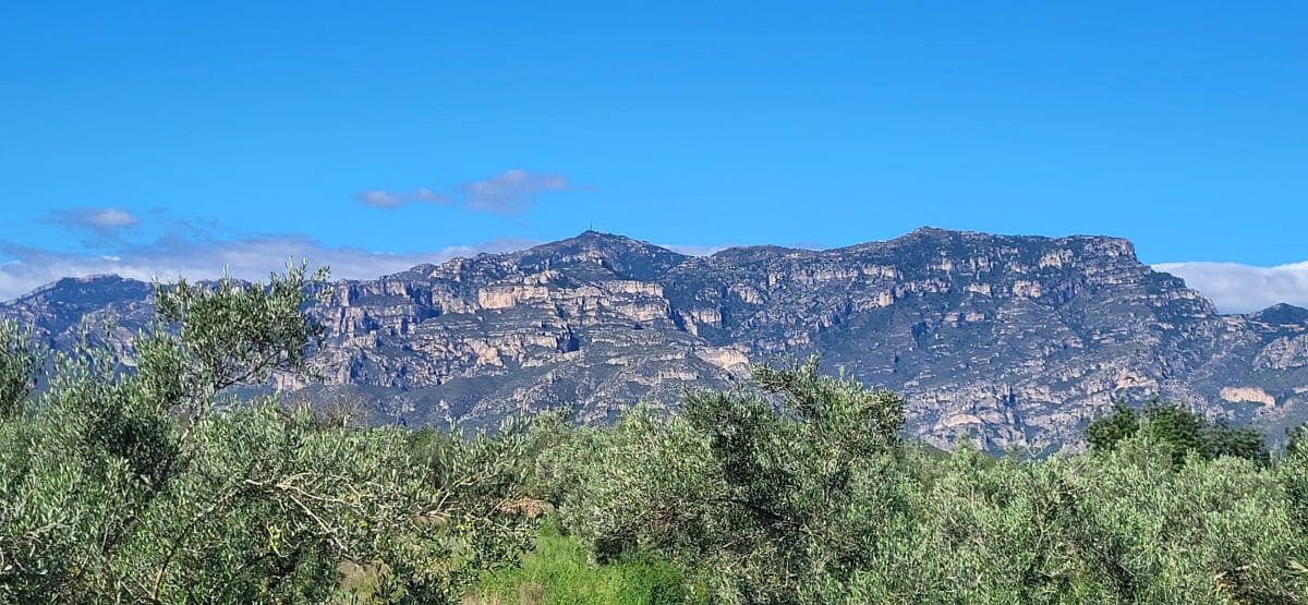Finca/Country House for sale in El Raval de Crist - € 60,000 (Ref: 9833571)