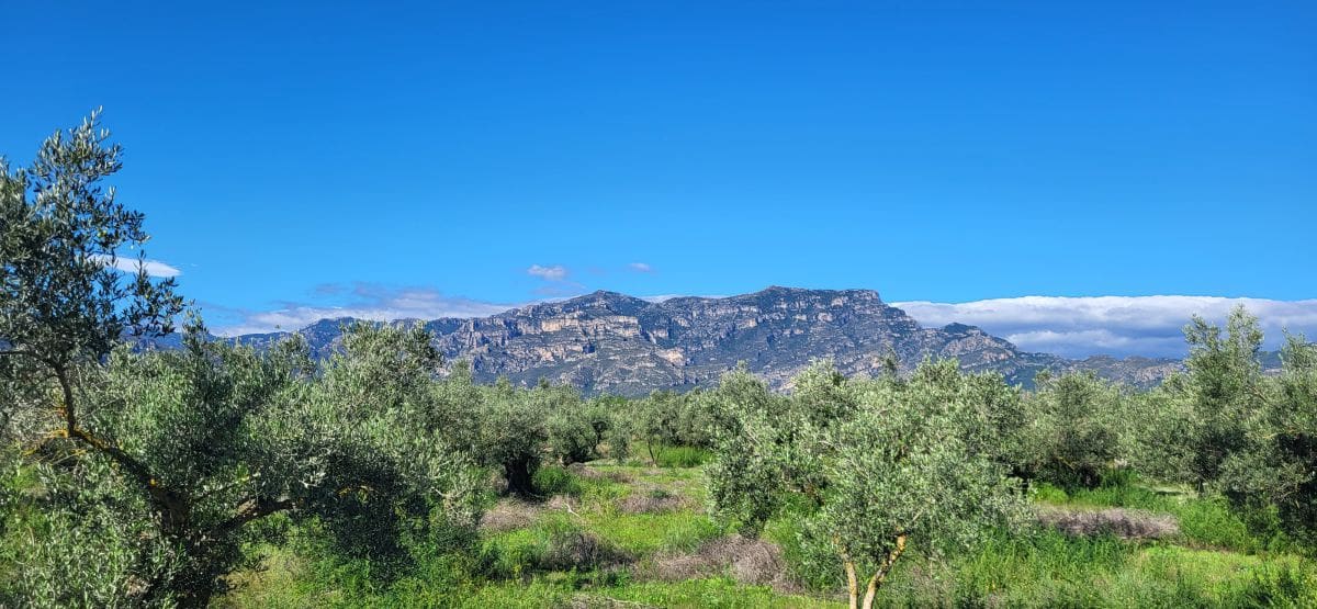 Finca/Country House for sale in El Raval de Crist - € 60,000 (Ref: 9833571)