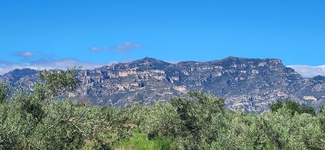 Finca/Country House for sale in El Raval de Crist, Roquetes - € 60,000 (Ref: 9833571)