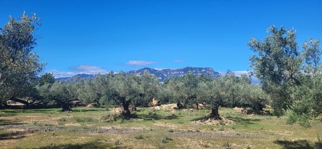 Finca/Country House for sale in El Raval de Crist, Roquetes - € 60,000 (Ref: 9833571)