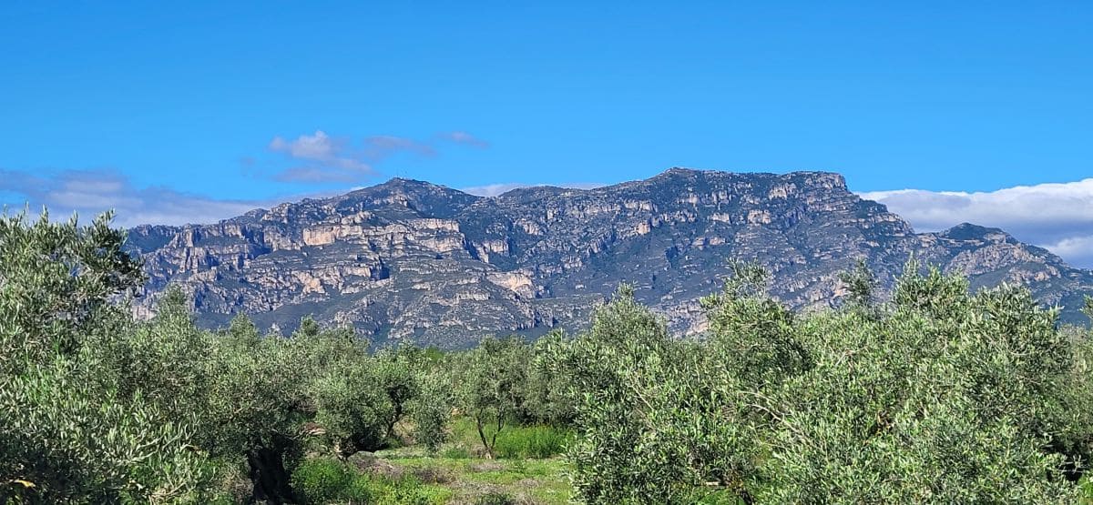 Finca/Country House for sale in El Raval de Crist - € 60,000 (Ref: 9833571)