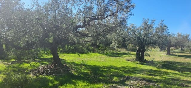 Finca/Country House for sale in El Raval de Crist, Roquetes - € 60,000 (Ref: 9833571)