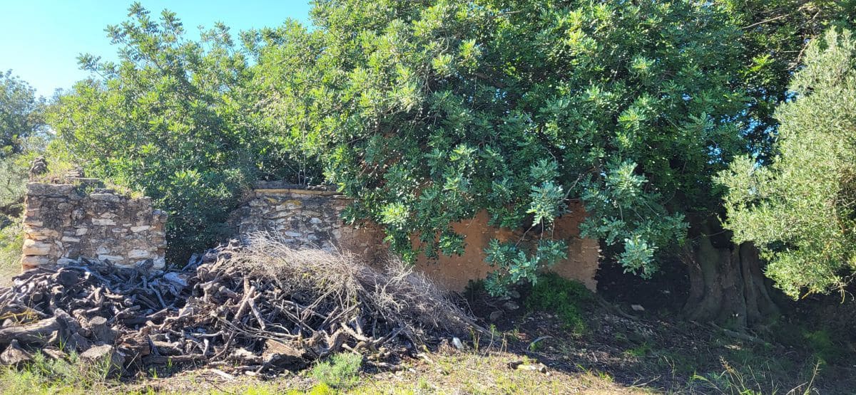 Finca/Country House for sale in El Raval de Crist - € 60,000 (Ref: 9833571)