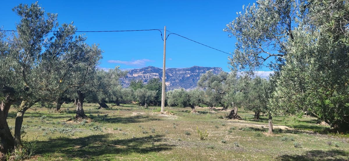 Finca/Country House for sale in El Raval de Crist - € 60,000 (Ref: 9833571)
