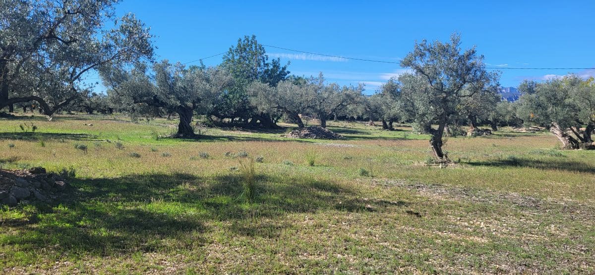 Finca/Country House for sale in El Raval de Crist - € 60,000 (Ref: 9833571)