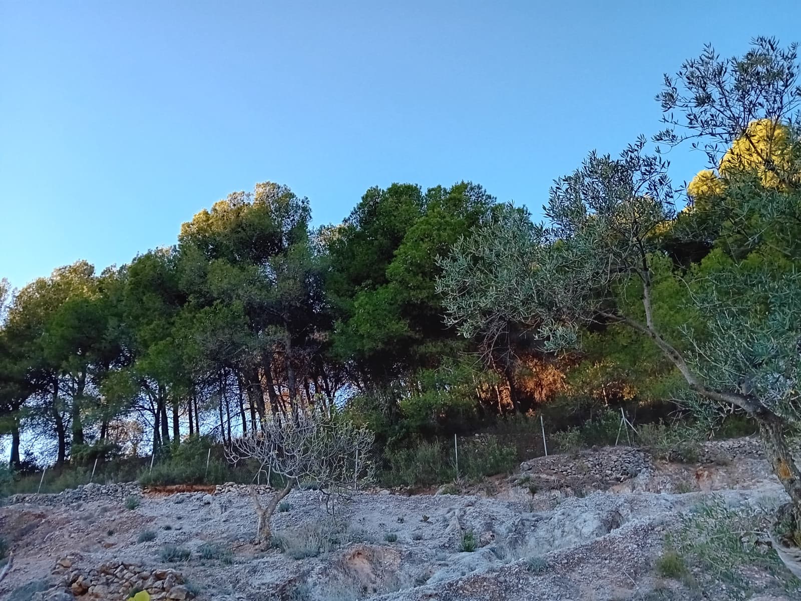 2 bedroom Finca/Country House for sale in Yunquera with garage €