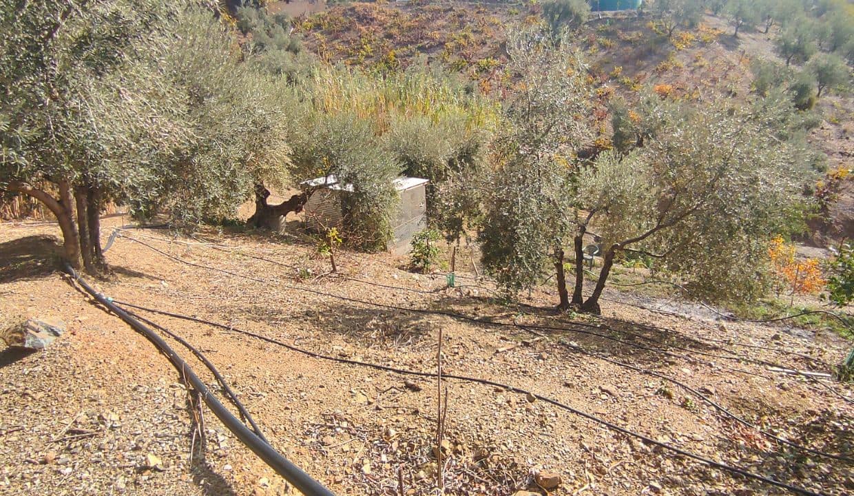 3 soveværelse Villa til salg i Sedella med swimmingpool - € 225.000 (Ref: 7912907)