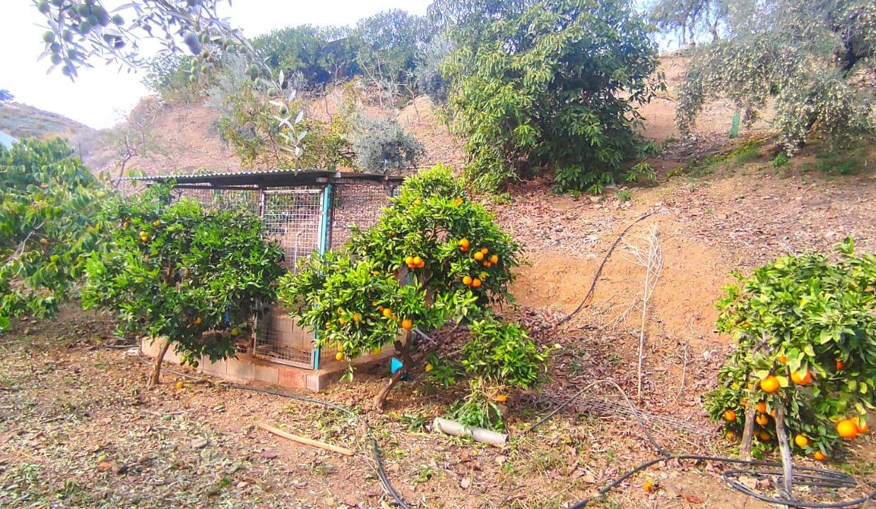 3 soveværelse Villa til salg i Sedella med swimmingpool - € 225.000 (Ref: 7912907)