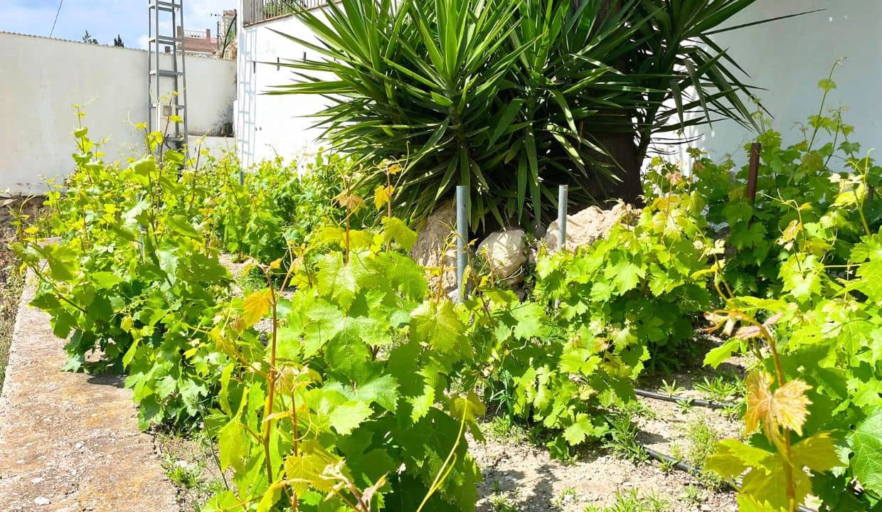 6 bedroom Guesthouse/B & B for sale in Canillas de Albaida with pool garage - € 1,195,000 (Ref: 9850297)