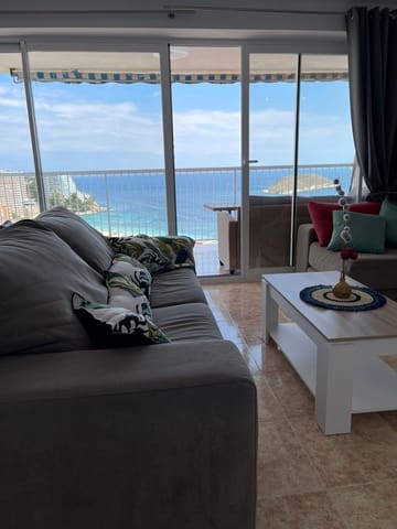 1 soveværelse Lejlighed til leje i Magalluf, Calvià - € 1.400 (Ref: 7729890)