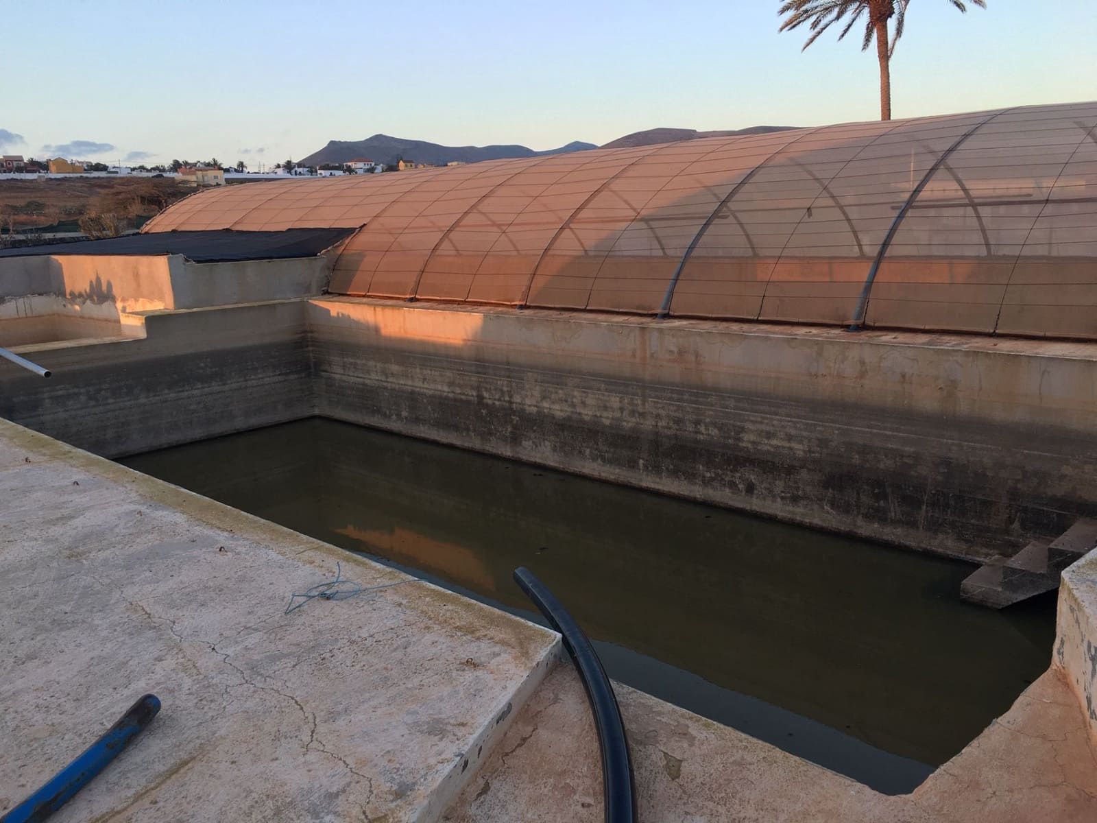 3 soveværelse Finca/Landehus til salg i Puerto del Rosario med swimmingpool - € 2.369.000 (Ref: 7852355)