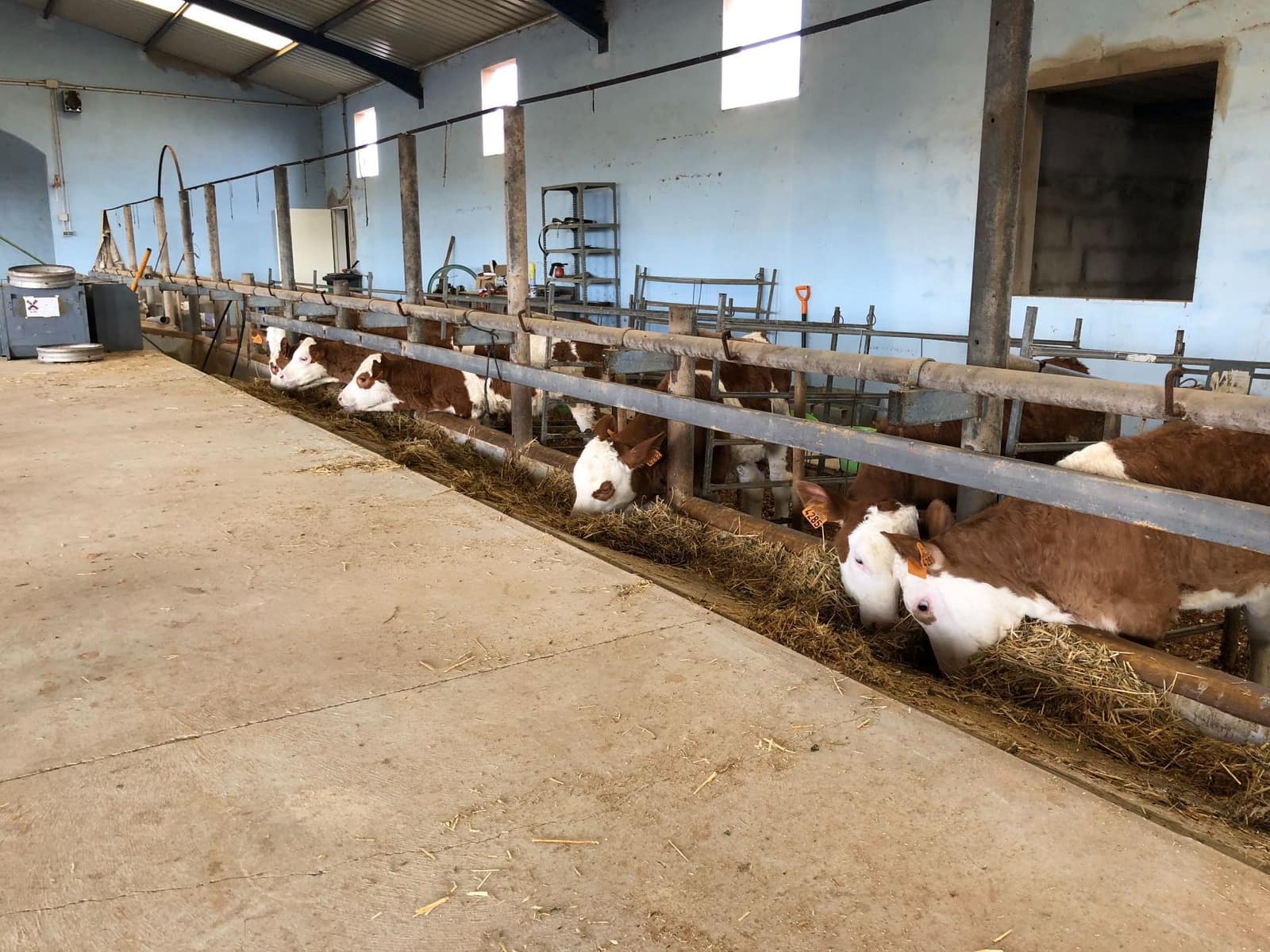 3 soveværelse Finca/Landehus til salg i Puerto del Rosario med swimmingpool - € 2.369.000 (Ref: 7852355)