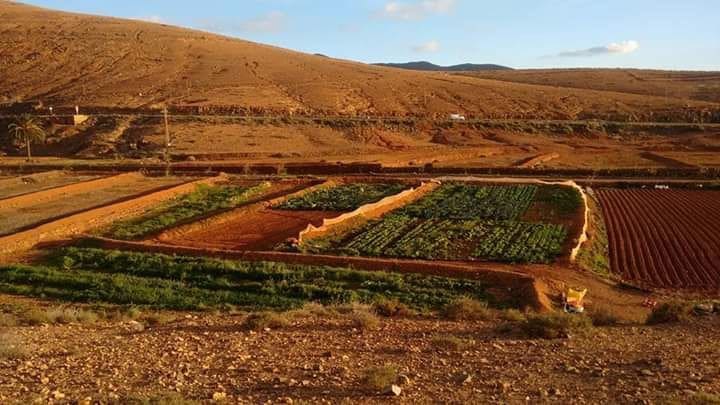 Grunde uden byggetilladelser til salg i Pajara - € 90.000 (Ref: 7852358)