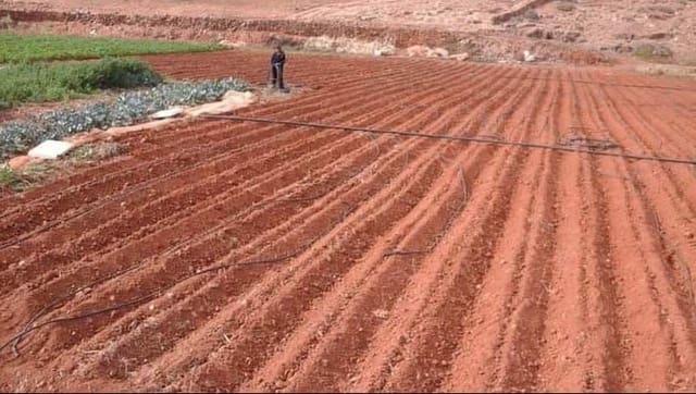 Rakentamaton maa myytävänä paikassa Pájara - 90 000 € (Ref: 7852358)