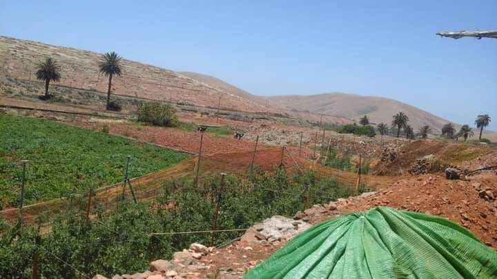 Grunde uden byggetilladelser til salg i Pajara - € 90.000 (Ref: 7852358)