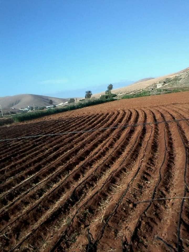 Grunde uden byggetilladelser til salg i Pajara - € 90.000 (Ref: 7852358)