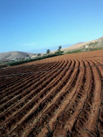 Rakentamaton maa myytävänä paikassa Pájara - 90 000 € (Ref: 7852358)