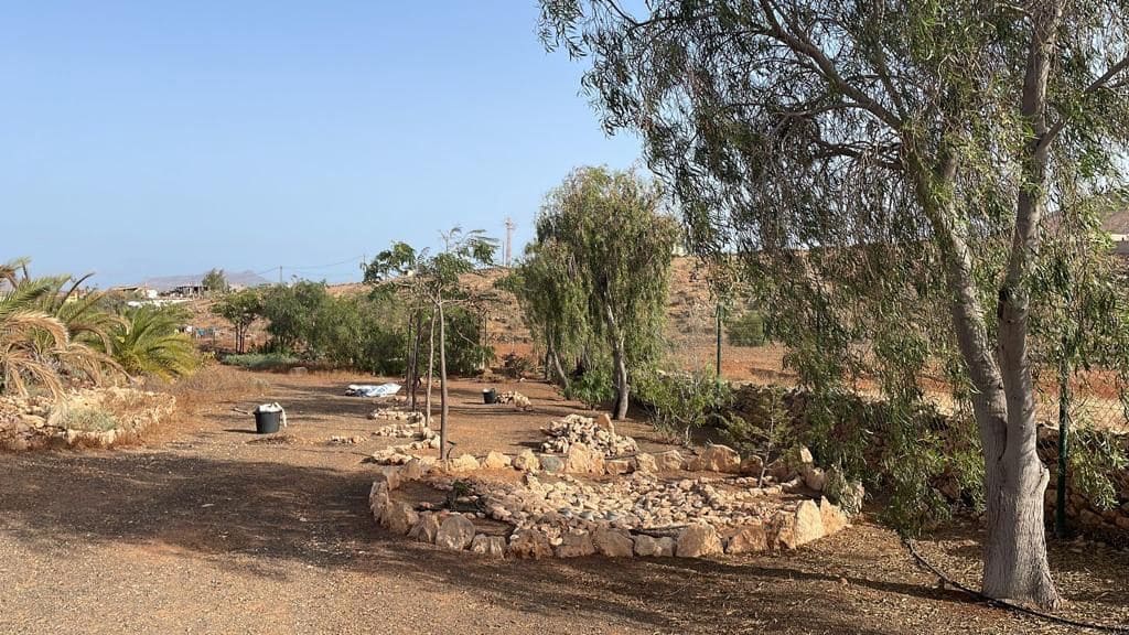 3 soveværelse Villa til salg i Tuineje med swimmingpool garage - € 469.000 (Ref: 9000961)