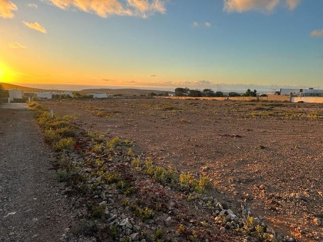 Terre non Aménagée à vendre à Tindaya, La Oliva - 190 000 € (Ref: 9026278)