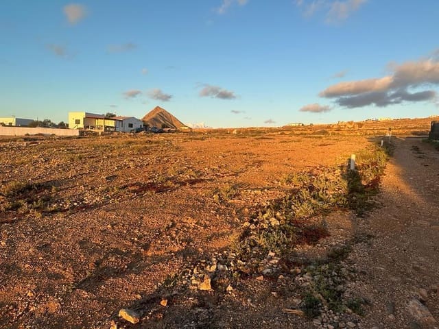 Terre non Aménagée à vendre à Tindaya, La Oliva - 190 000 € (Ref: 9026278)