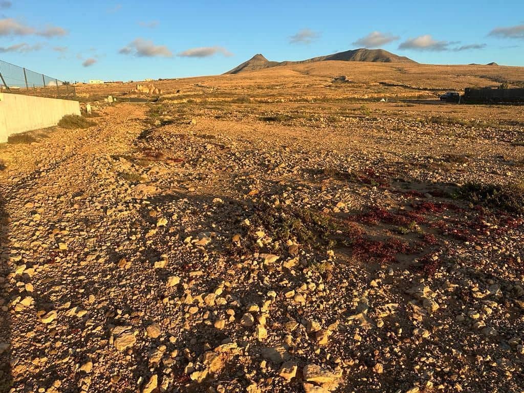 Terre non Aménagée à vendre à Tindaya - 190 000 € (Ref: 9026278)