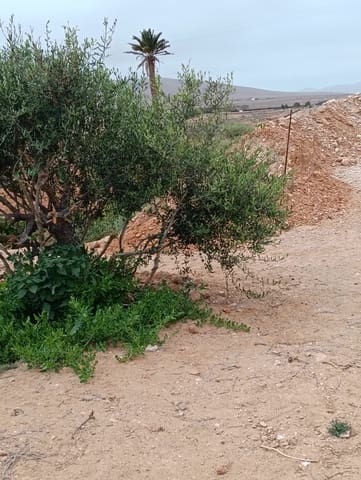 Mark till salu i Llanos de la Concepción, Puerto del Rosario - 90 000 € (Ref: 9100516)