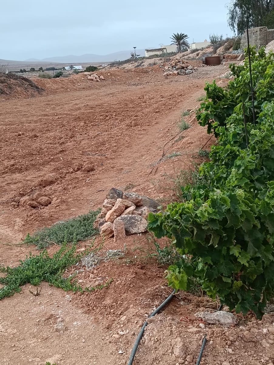 Grunde uden byggetilladelser til salg i Llanos de la Concepcion - € 90.000 (Ref: 9100516)