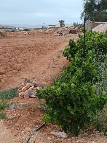 Ubebygd land til salgs i Llanos de la Concepción, Puerto del Rosario - € 90 000 (Ref: 9100516)