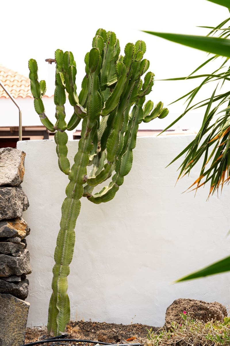 3 soveværelse Villa til salg i Lajares med swimmingpool - € 758.000 (Ref: 9118568)