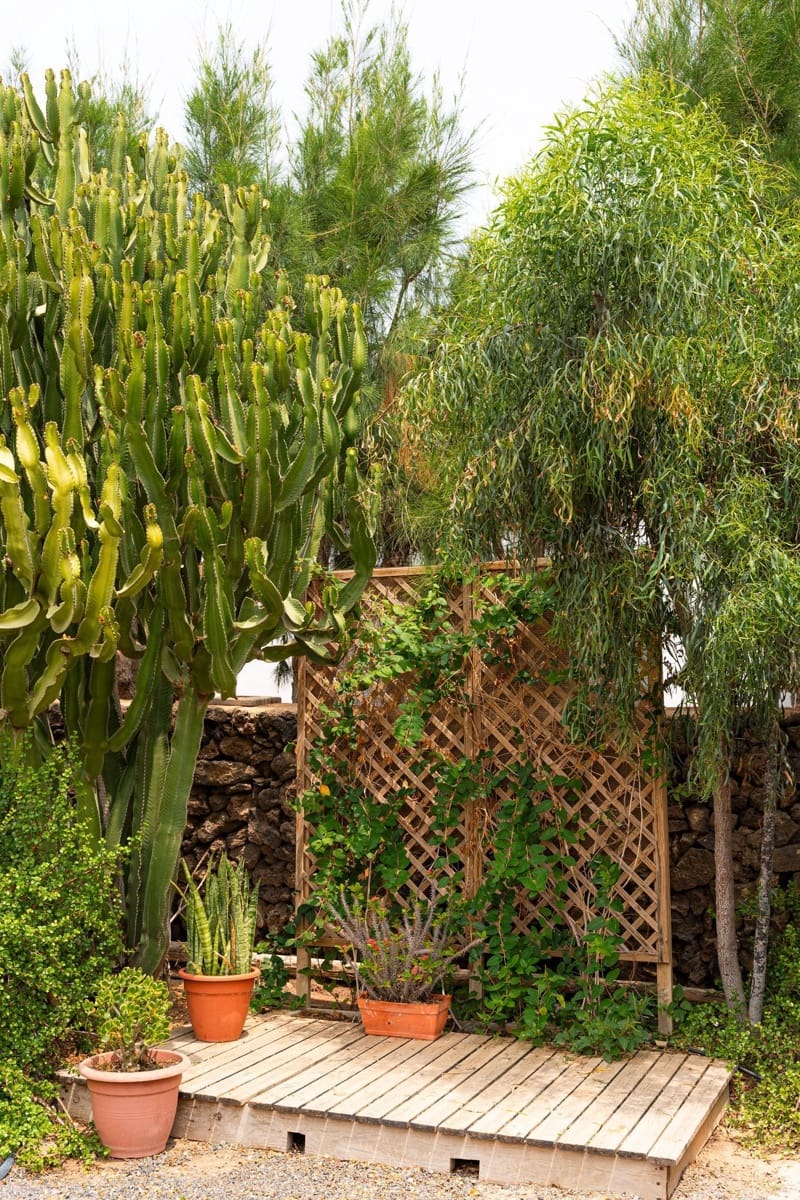 3 soveværelse Villa til salg i Lajares med swimmingpool - € 758.000 (Ref: 9118568)