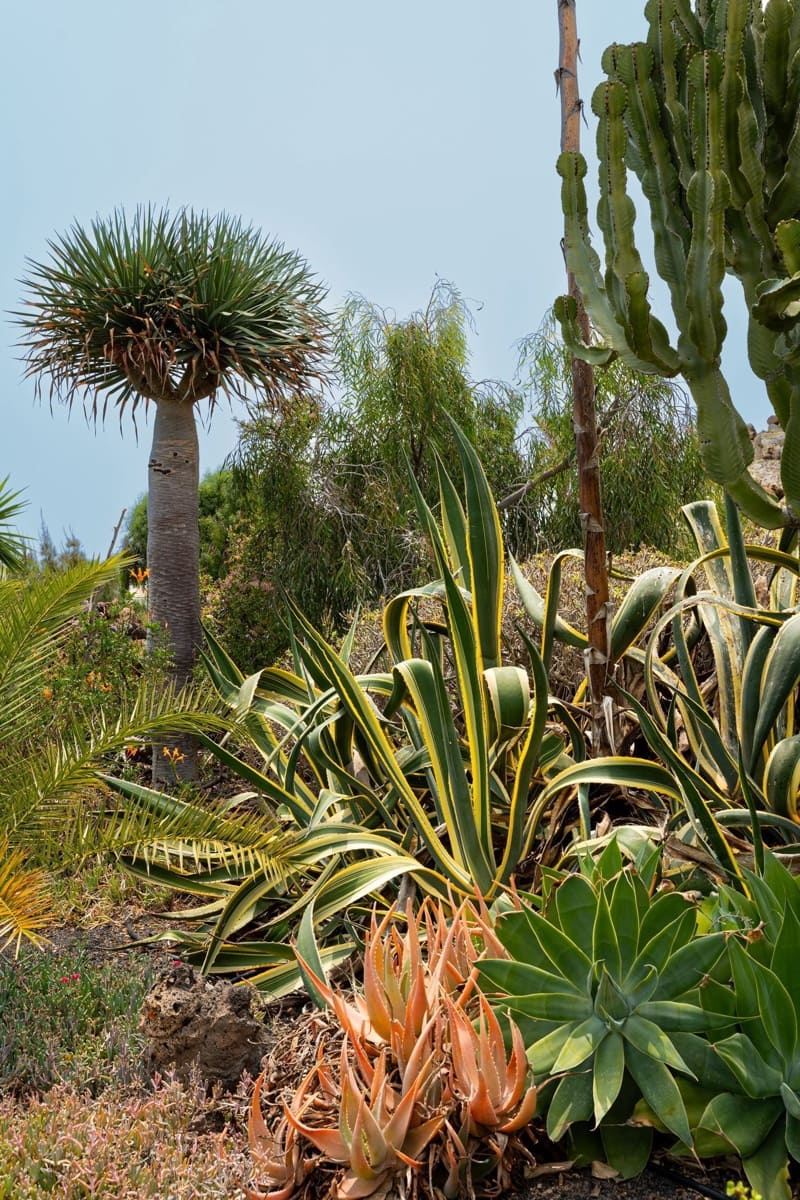 3 soveværelse Villa til salg i Lajares med swimmingpool - € 758.000 (Ref: 9118568)