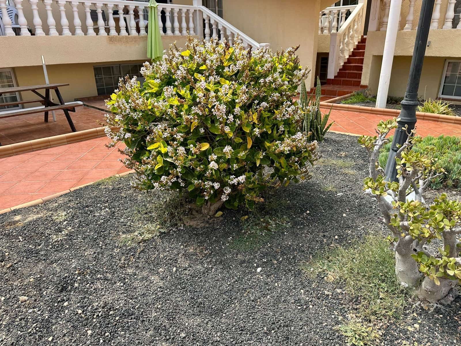 3 sypialnia Dom na sprzedaż w Caleta de Fuste - 229 000 € (Ref: 9136924)