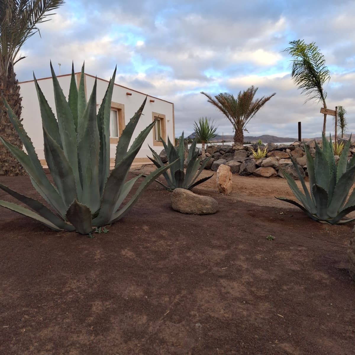 5 sypialnia Willa na sprzedaż w Tuineje z basenem garażem - 695 000 € (Ref: 9272147)