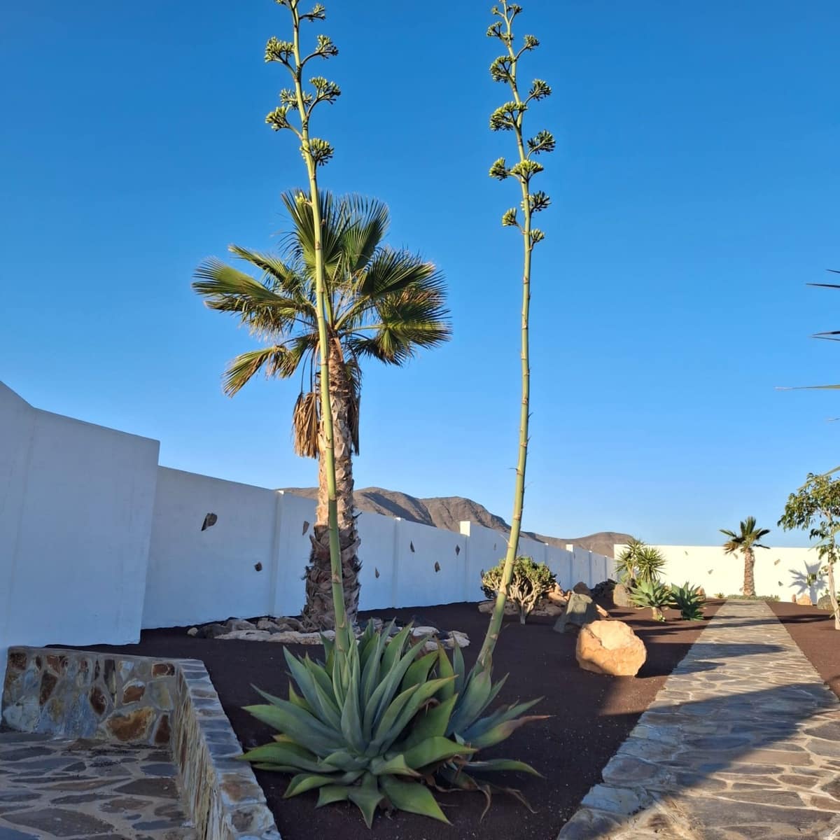 5 sypialnia Willa na sprzedaż w Tuineje z basenem garażem - 695 000 € (Ref: 9272147)