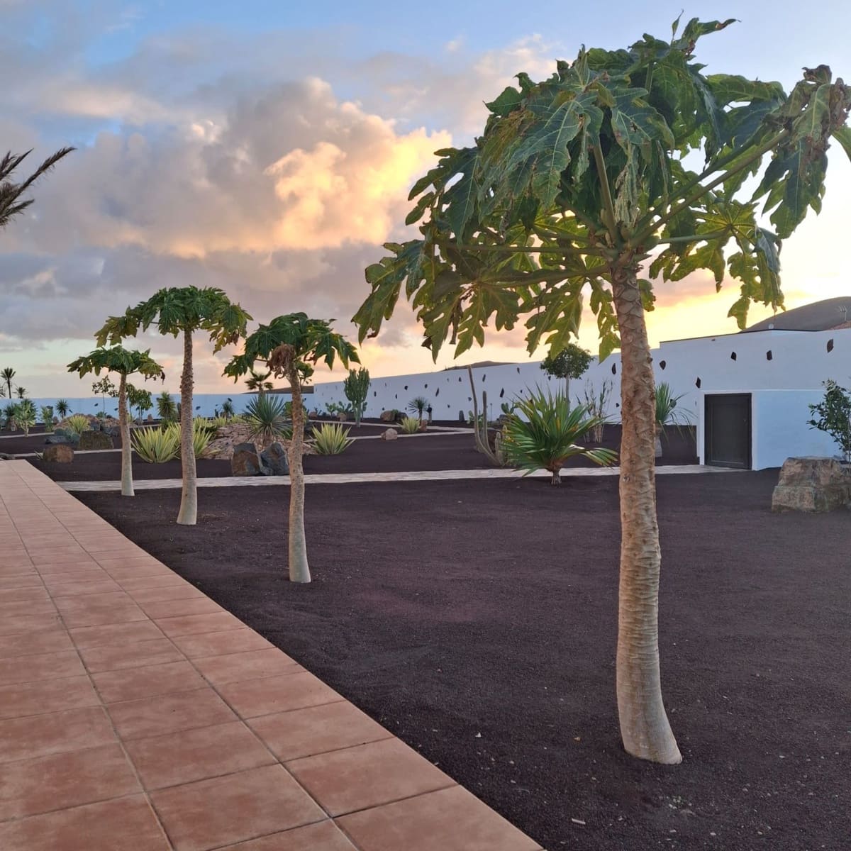 5 sypialnia Willa na sprzedaż w Tuineje z basenem garażem - 695 000 € (Ref: 9272147)