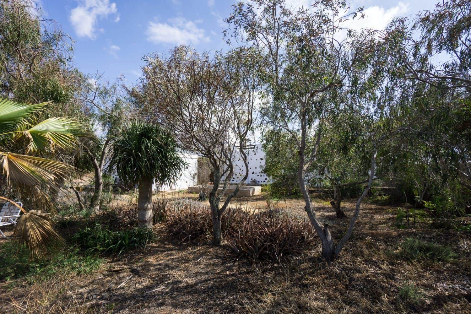 5 slaapkamer Finca/Landhuis te koop in La Oliva met garage - € 460.000 (Ref: 9406420)