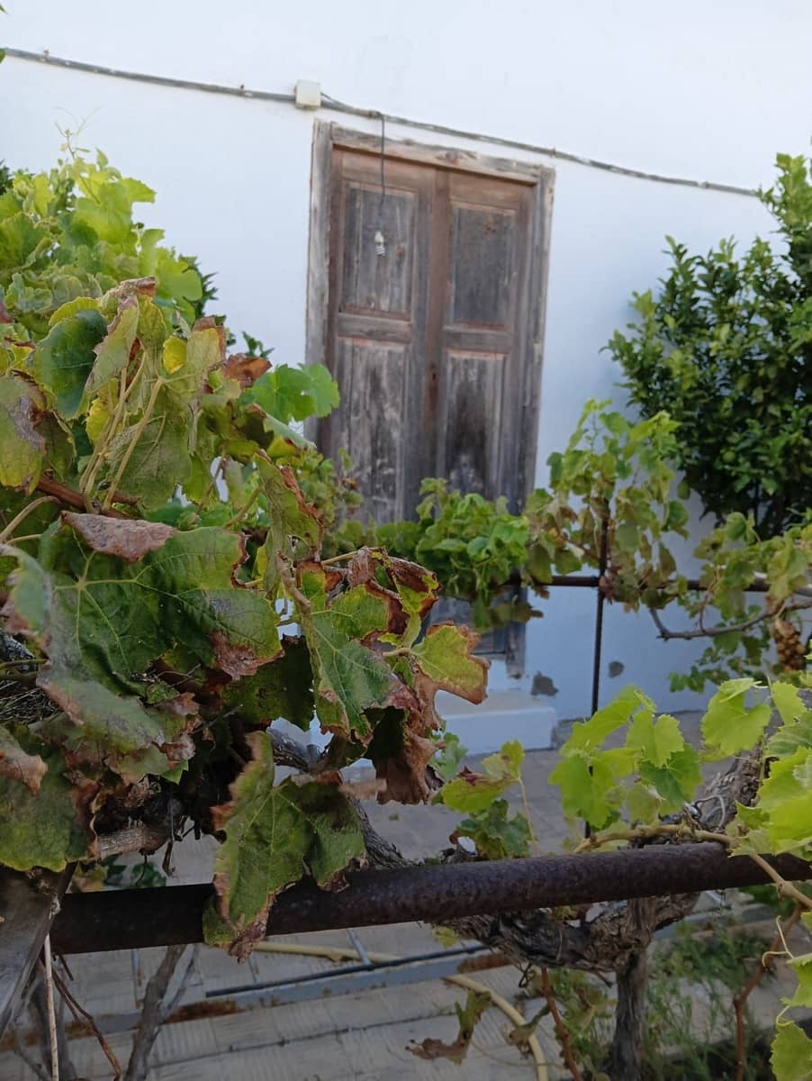 3 bedroom Finca/Country House for sale in Antigua - € 160,000 (Ref: 9430701)