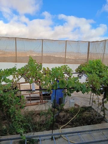 3 bedroom Finca/Country House for sale in Antigua - € 160,000 (Ref: 9430701)